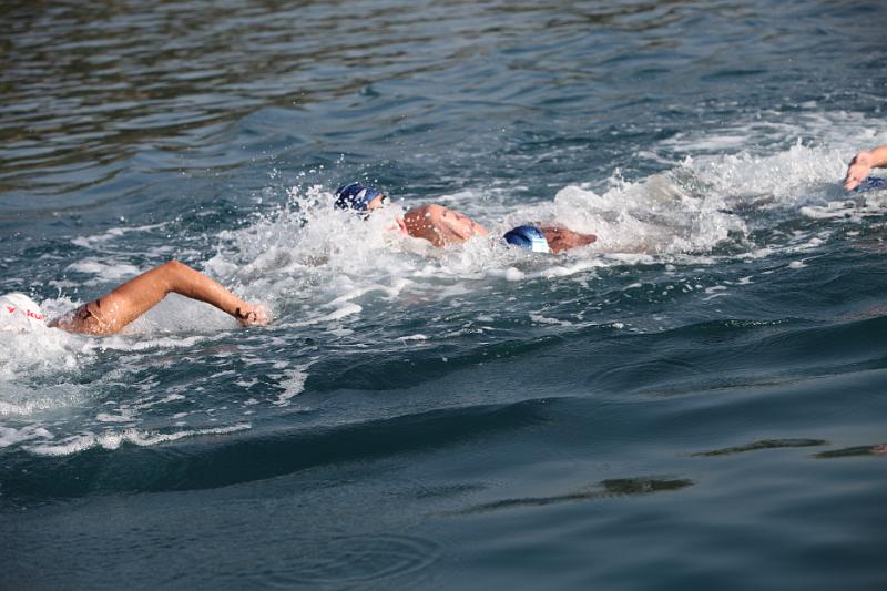 Comen Cup 2009 349.jpg